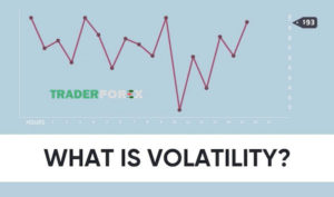 volatility là gì