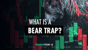 Bear Trap là gì