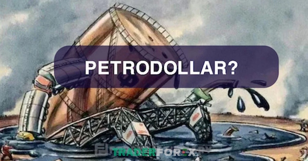 Hệ thống Petrodollar đã xóa bỏ hoàn toàn bản vị Vàng ngay sau tuyên bố của tổng thống Nixon