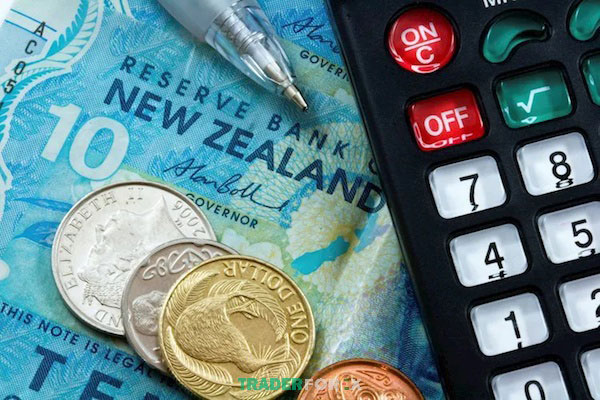 Giải đáp thắc mắc đồng NZD là tiền nước nào?