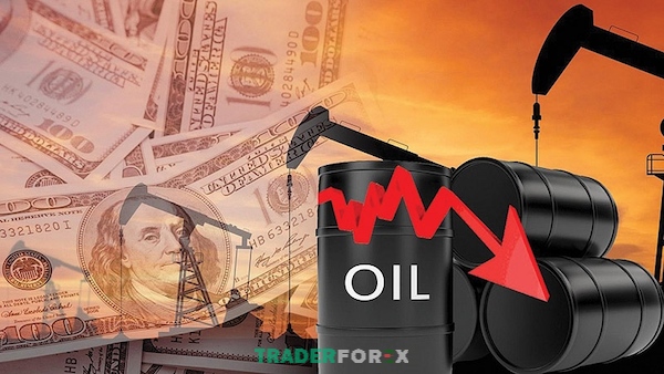 Lệnh cấm vận của OPEC hình thành nên cuộc khủng hoảng về nhiên liệu