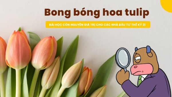 Bài học rút ra từ giai thoại bong bóng hoa Tulip là gì?