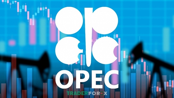 Hướng phát triển của tổ chức OPEC
