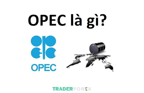 Sơ lược những thông tin cơ bản về Organization of Petroleum Exporting Countries (OPEC)