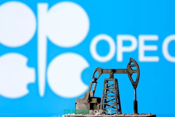 Cách thức vận hành của tổ chức OPEC