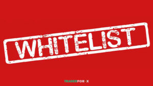 Whitelist là gì